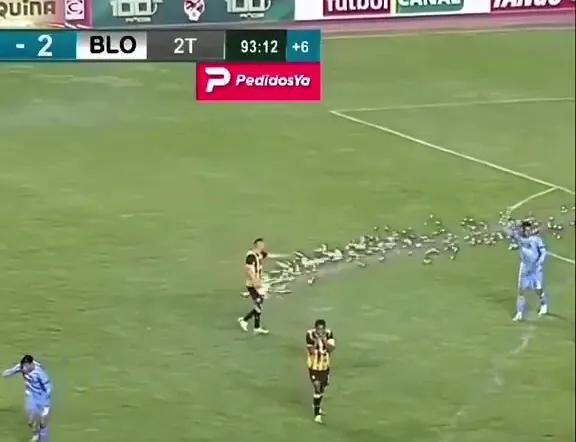 gif, 的比赛将不